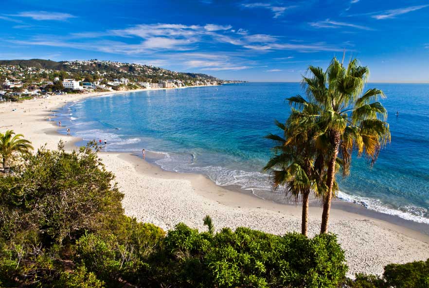 beautiful beach with palm trees